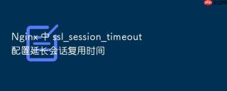 nginx 中 ssl_session_timeout 配置延长会话复用时间