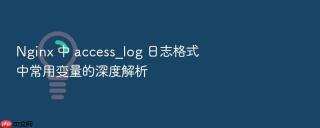 nginx 中 access_log 日志格式中常用变量的深度解析