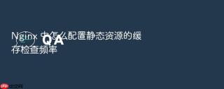 Nginx 中怎么配置静态资源的缓存检查频率