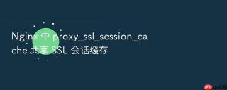 nginx 中 proxy_ssl_session_cache 共享 ssl 会话缓存