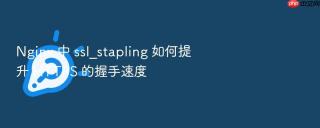 nginx 中 ssl_stapling 如何提升 https 的握手速度
