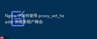 nginx 中如何使用 proxy_set_header 实现多租户路由