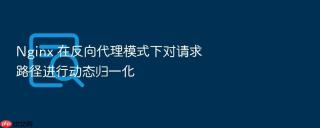 Nginx 在反向代理模式下对请求路径进行动态归一化