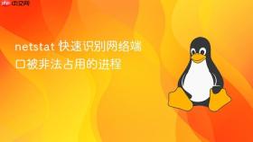 netstat 快速识别网络端口被非法占用的进程