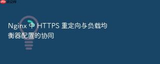 nginx 中 https 重定向与负载均衡器配置的协同