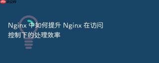 nginx 中如何提升 nginx 在访问控制下的处理效率