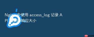 Nginx 中使用 access_log 记录 API 请求的响应大小