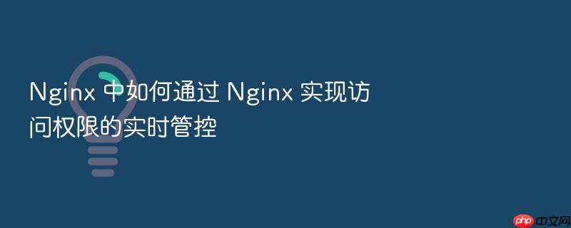 nginx 中如何通过 nginx 实现访问权限的实时管控