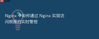 Nginx 中如何通过 Nginx 实现访问权限的实时管控