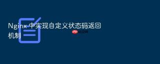 nginx 中实现自定义状态码返回机制