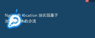 nginx 中 location 块实现基于浏览器版本的分流