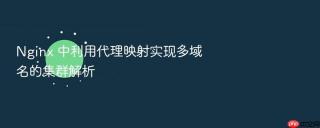 nginx 中利用代理映射实现多域名的集群解析