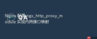 nginx 配置 ngx_http_proxy_module 实现内网接口映射