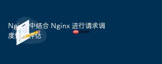 nginx 中结合 nginx 进行请求调度性能评估