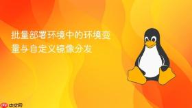 批量部署环境中的环境变量与自定义镜像分发