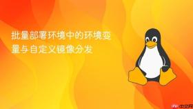 批量部署环境中的环境变量与自定义镜像分发