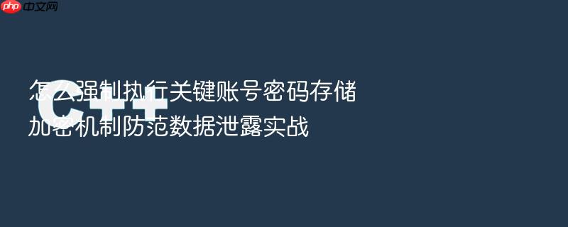 怎么强制执行关键账号密码存储加密机制防范数据泄露实战