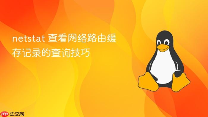 netstat 查看网络路由缓存记录的查询技巧