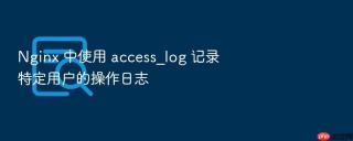 nginx 中使用 access_log 记录特定用户的操作日志