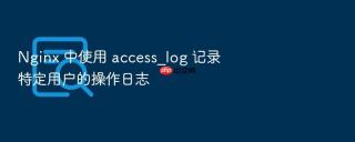 Nginx 中使用 access_log 记录特定用户的操作日志