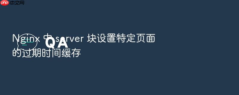 nginx 中 server 块设置特定页面的过期时间缓存