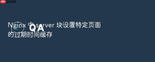 Nginx 中 server 块设置特定页面的过期时间缓存