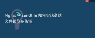Nginx 中 sendfile 如何实现高效文件读取与传输