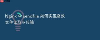 nginx 中 sendfile 如何实现高效文件读取与传输