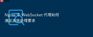 nginx 中 websocket 代理如何满足高效处理要求