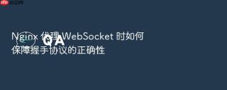 nginx 代理 websocket 时如何保障握手协议的正确性