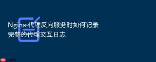 Nginx 代理反向服务时如何记录完整的代理交互日志