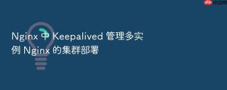 nginx 中 keepalived 管理多实例 nginx 的集群部署