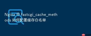 nginx 中 fastcgi_cache_methods 如何配置缓存白名单