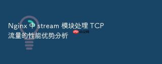 Nginx 中 stream 模块处理 TCP 流量的性能优势分析