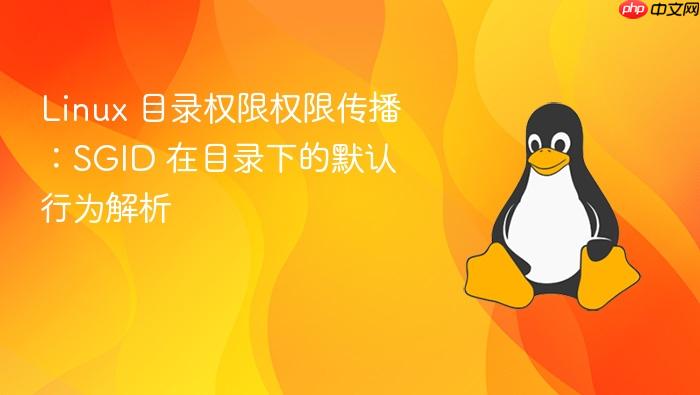 linux 目录权限权限传播:sgid 在目录下的默认行为解析