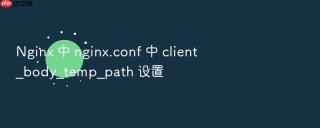 nginx 中 nginx.conf 中 client_body_temp_path 设置