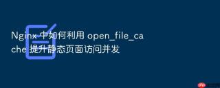 Nginx 中如何利用 open_file_cache 提升静态页面访问并发