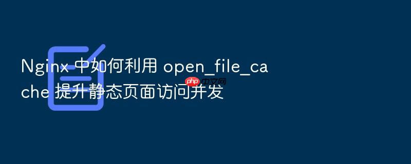 nginx 中如何利用 open_file_cache 提升静态页面访问并发