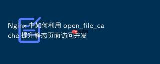 nginx 中如何利用 open_file_cache 提升静态页面访问并发