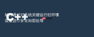 如何通过对系统关键运行时环境变量进行安全加固处理