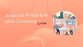 javascript 中 null 与 nullish coalescing