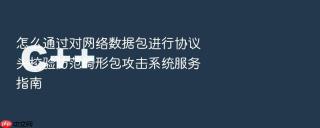 怎么通过对网络数据包进行协议头校验防范畸形包攻击系统服务指南