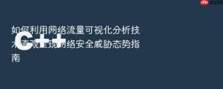 如何利用网络流量可视化分析技术直观呈现网络安全威胁态势指南