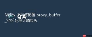 nginx 中如何配置 proxy_buffer_size 处理大响应头