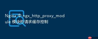 Nginx 中 ngx_http_proxy_module 模块的请求缓存控制