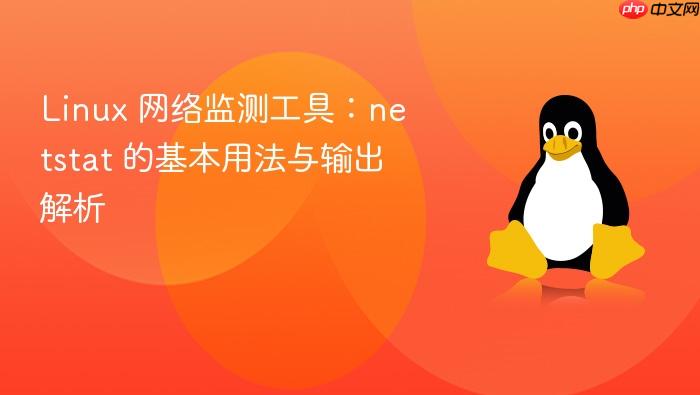 linux 网络监测工具:netstat 的基本用法与输出解析