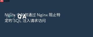 nginx 中如何通过 nginx 阻止特定的 sql 注入请求访问
