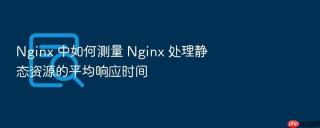 Nginx 中如何测量 Nginx 处理静态资源的平均响应时间
