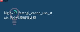 nginx 中 fastcgi_cache_use_stale 优化代理错误处理