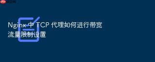 Nginx 中 TCP 代理如何进行带宽流量限制设置